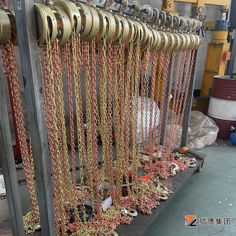 為什么防爆手拉葫蘆市場價格存在差異？